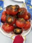 Tomato 'Indigo Apple' Plant