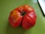 Tomato 'Carol Chyko's Big Paste' 