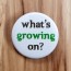 What's Growing On? Pinback Button