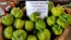 Hot Pepper ‘Hussli Tomato Pepper’ Seeds (Certified Organic)
