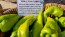 Hot Pepper ‘Beaver Dam’ Seeds (Certified Organic) 