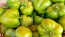 Hot Pepper ‘Hussli Tomato Pepper’ Seeds (Certified Organic)