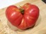 Tomato 'Ponderosa Pink' 