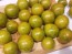 Tomato 'Green Zebra Cherry' Seeds (Certified Organic)