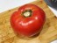 Tomato 'Dixie Red F2'