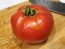 Tomato 'Costoluto Fiorentino' 