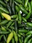Hot Pepper ‘TAM Jalapeno’ Seeds (Certified Organic)