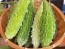 Bitter Melon 'Mix' Seeds (Certified Organic)