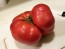 Tomato 'Aunt Ginny's Purple' Plant (4" Pot, single)