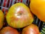 Tomato 'Berkely Tie-Dye'