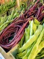 Pole Yard Long Bean 'Chinese Red Noodle' 