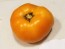 Tomato 'Orange'