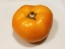 Tomato 'Orange'