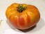 Tomato 'Striped German' 