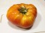 Tomato 'Striped German' 