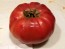 Tomato 'Monk'