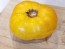 Tomato 'Pork Chop' Seeds (Certified Organic)