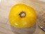 Tomato 'Pork Chop' Seeds (Certified Organic)