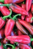 Crushed Fresno Peppers Harvested on our Farm, Certified Organic