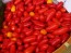 Hot Pepper ‘Pequin’ 