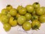 Tomato 'Gobstopper' 