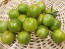 Tomato 'Green Zebra Cherry' Seeds (Certified Organic)