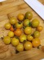 Tomato 'Ambrosia Gold' 