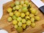 Tomato 'Lemon Drop' Seeds (Certified Organic)