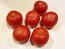 Tomato 'Bola Macizo' Plant (4" Pot, single)