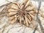 Dahlia 'Puffy Red' Tubers - Shipping 2025 Spring - Harvested on our Farm - USDA Certified Organic