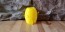 Spongebob Squarepants' Pineapple House 3D Printed Planter