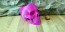 Skull 3D Printed Planter