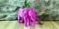 Elephant 3D Printed Planter
