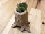 Tree Stump 3D Printed Planter Made With Wood Filament