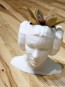 Star Wars Princess Leia 3D Printed Planter