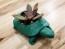 Turtle 3D Printed Planter 5.75"