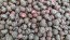 Black Raspberry Seeds (Certified Organic)