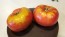 Tomato 'German Johnson' Seeds (Certified Organic)
