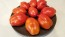 Tomato 'Ropreco Paste' Seeds (Certified Organic)