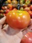 Tomato 'Cannonball' Seeds (Certified Organic)