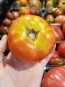 Tomato 'Cannonball' Seeds (Certified Organic)