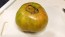 Tomato 'Green Giant' Seeds (Certified Organic)