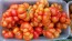 Tomato 'Reisetomate' Seeds (Certified Organic) 