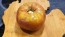 Tomato 'Purple Sicilian Saucer' Seeds (Certified Organic)