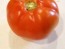 Tomato 'Italian Beefsteak' 