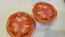 Tomato 'Italian Beefsteak' 