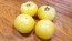 Tomato 'White Bush' 