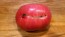 Tomato 'Red Rose' Seeds (Certified Organic) 
