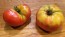 Tomato 'Red Rose' Seeds (Certified Organic) 