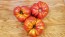 Tomato 'Sicilian Saucer' Plant